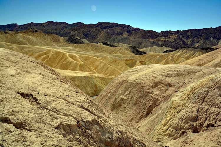 mustard-colored hills